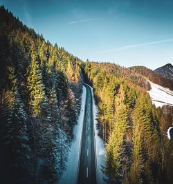 Panoramic view of road amidst trees in forest against sky