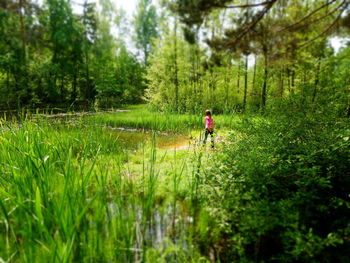 Rear view of man on grass in forest