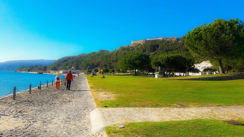 People on beach against clear blue sky