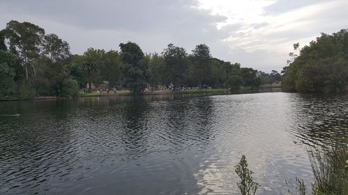 Reflection of trees in calm lake