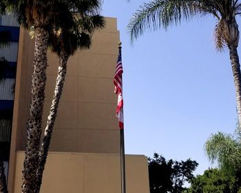 Low angle view of palm trees against sky