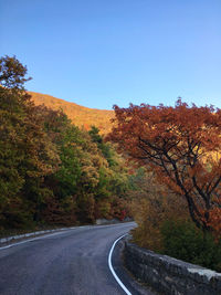 Road amidst trees against sky during autumn