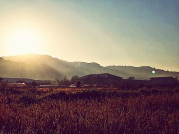 Scenic view of field against sky during sunset