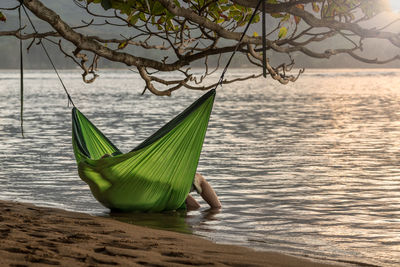 Person in hammock at beach