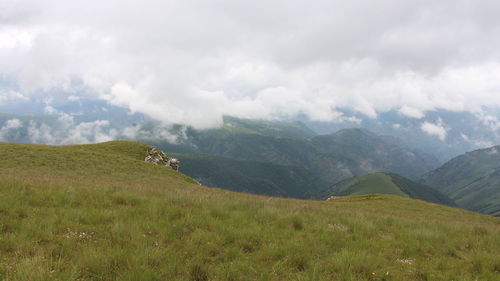 Scenic view of landscape against sky