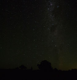 Low angle view of silhouette trees against sky at night