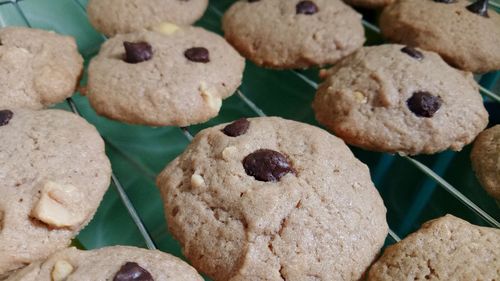 High angle view of cookies