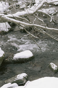 Snow covered stream in forest