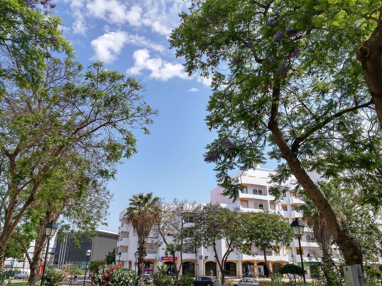 building exterior, tree, architecture, built structure, low angle view, sky, growth, residential building, branch, residential structure, house, building, city, day, green color, outdoors, no people, sunlight, nature, cloud