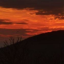 Scenic view of silhouette landscape against romantic sky at sunset