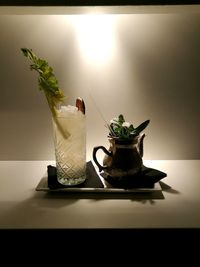 Close-up of potted plant on table