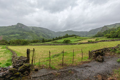 Scenic view of rural landscape