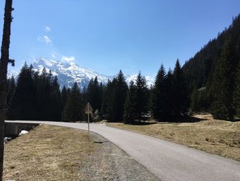 Road amidst trees against clear blue sky