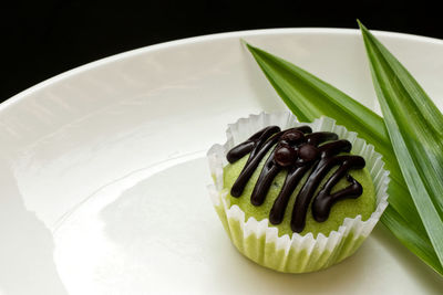 High angle view of food in plate against black background