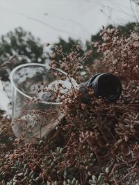 High angle view of glass bottle on field