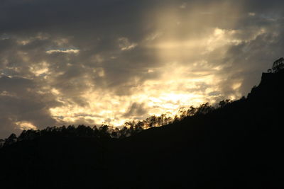 Low angle view of silhouette trees against sky