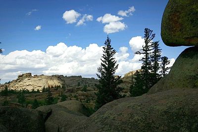 Low angle view of trees on mountain against sky