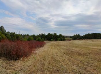 Scenic view of field against sky