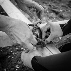 Cropped hands of people tying rope on bamboo