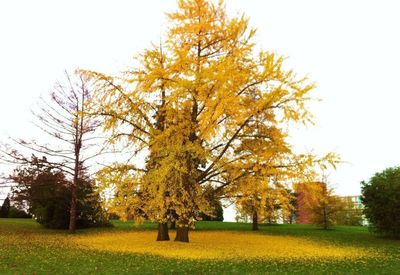 Trees on landscape against sky during autumn