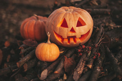 Jack o lantern on field