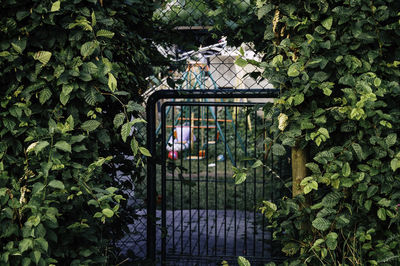 Close-up of metallic gate amidst plants