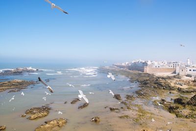 Seagulls flying over sea against sky