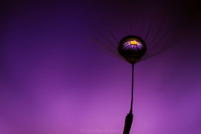 Low angle view of illuminated street light against sky