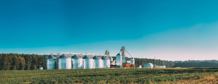 Scenic view of agricultural field against blue sky