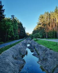 Stream amidst trees against clear blue sky