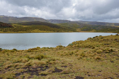 Lake ellis against mountains at chogoria route, mount kenya national park, kenya