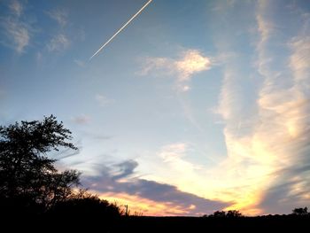 Low angle view of silhouette trees against sky during sunset