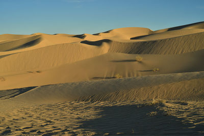 Sand dunes in a desert