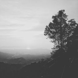 Silhouette of trees against sky