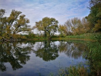 Reflection of trees in lake against sky