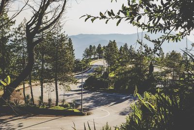 Trees and mountains against clear sky