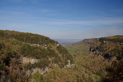 View in late summer/early autumn at cloudland canyon state park in rising fawn, georgia.