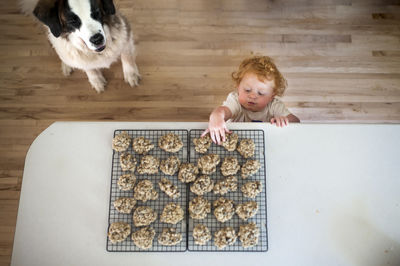 High angle view of dog sitting by cute baby boy taking cookies from table at home