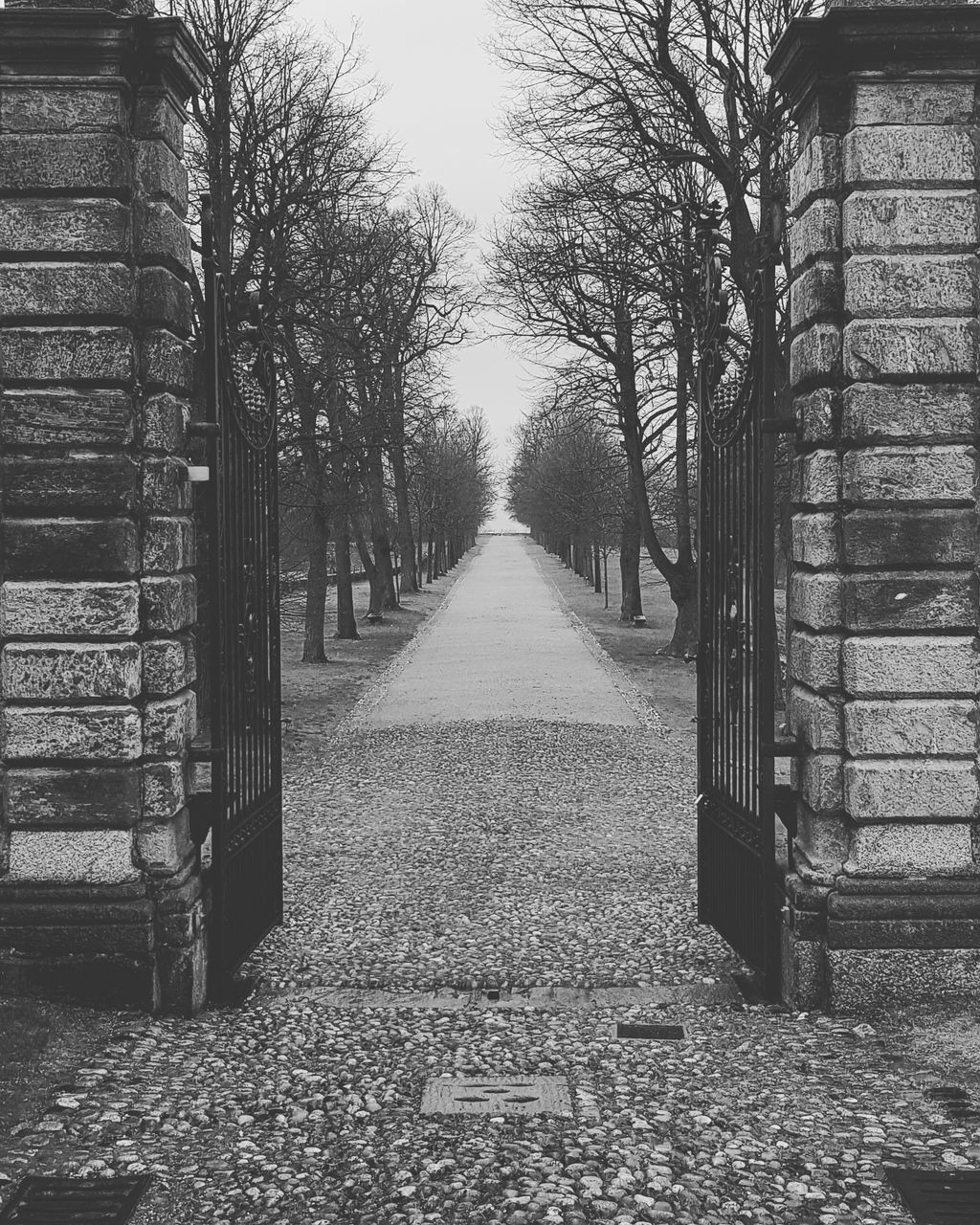 direction, the way forward, tree, diminishing perspective, plant, architecture, nature, no people, day, built structure, building exterior, outdoors, footpath, vanishing point, building, transportation, in a row, scenics - nature, park, long, treelined, alley