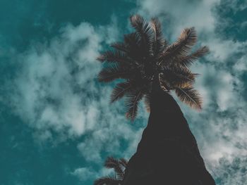 Low angle view of coconut palm tree against sky