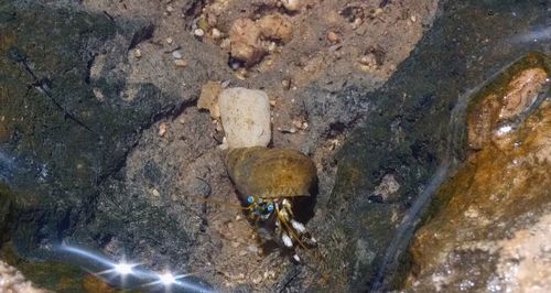 Rocks in sea