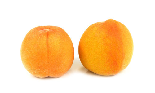 Close-up of orange fruit against white background