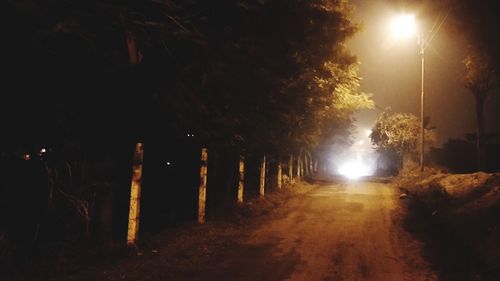 Trees on illuminated landscape against sky at night