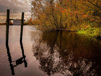reflection