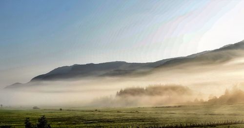 Scenic view of field against sky