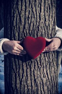 Close-up of woman holding heart shape on tree trunk
