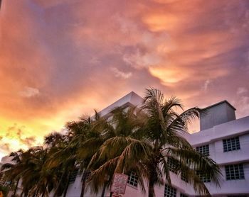 Low angle view of palm trees against cloudy sky