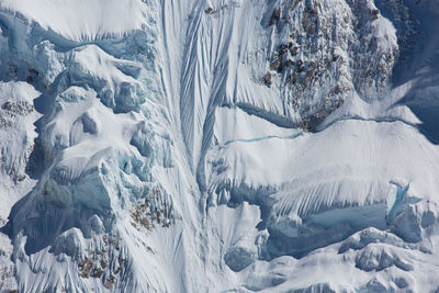 Panoramic view of frozen trees during winter