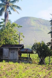 Scenic view of grassy landscape