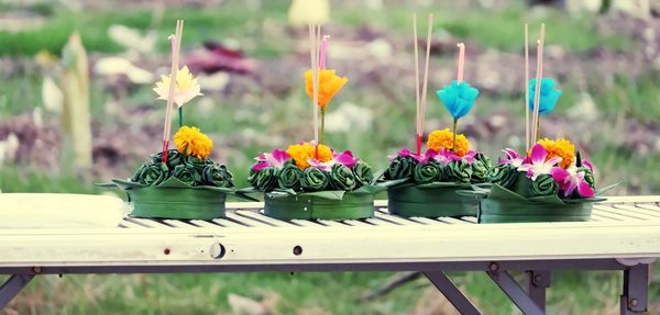 Close-up of yellow flowering plants on wood